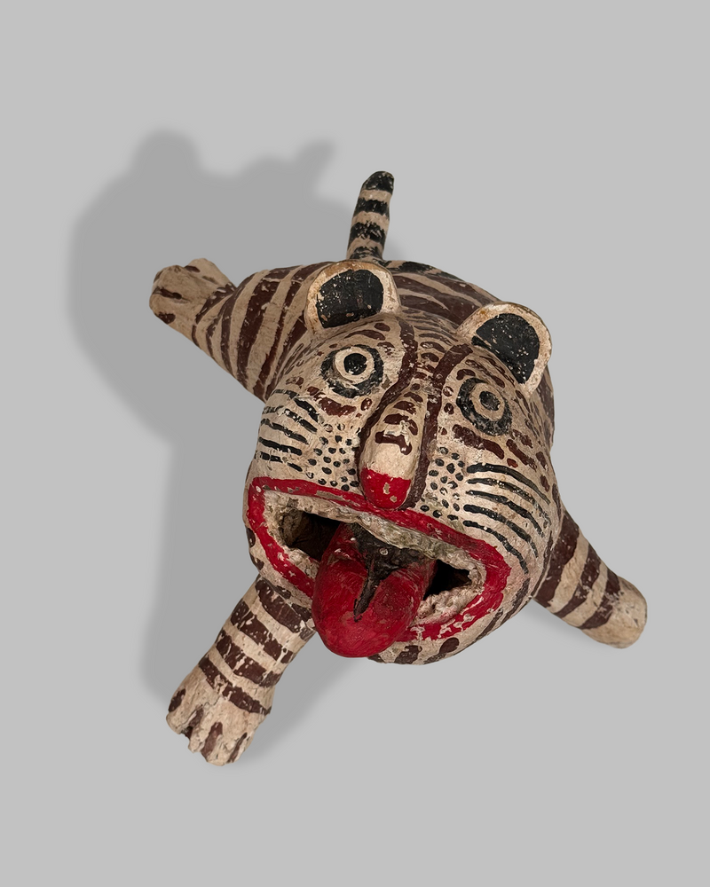 Java Tiger 5