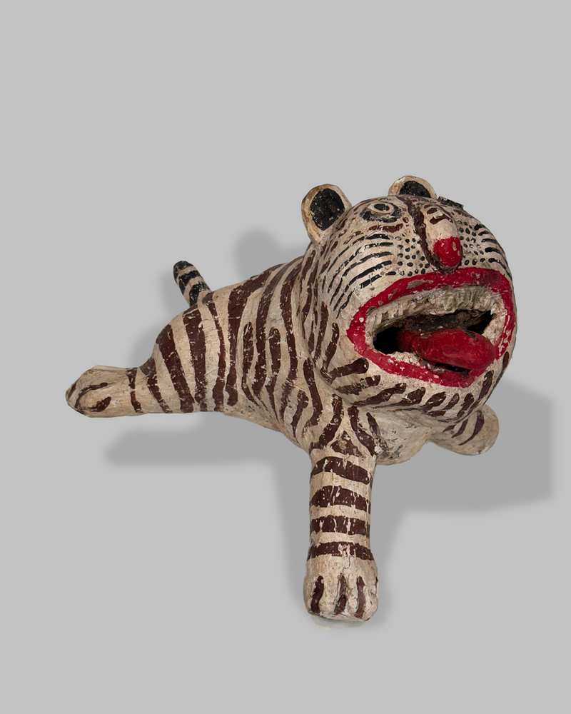 Java Tiger 5
