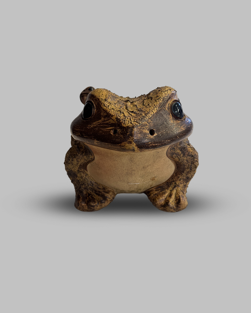 Shigaraki toad