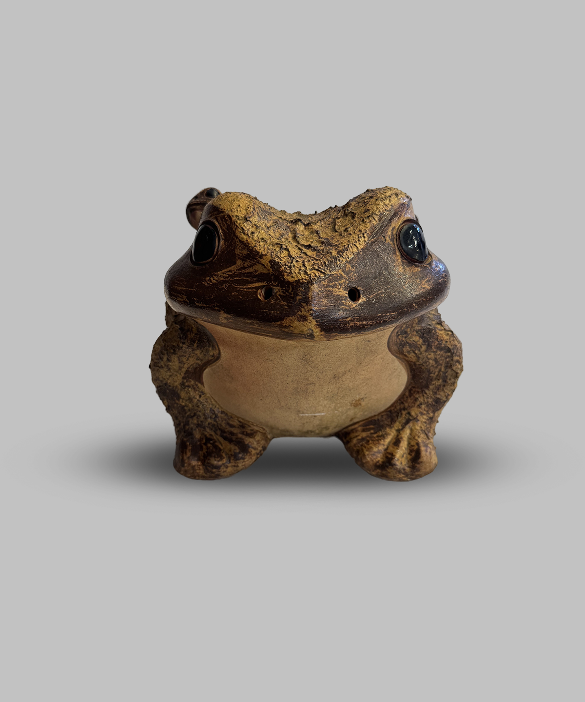 Shigaraki toad
