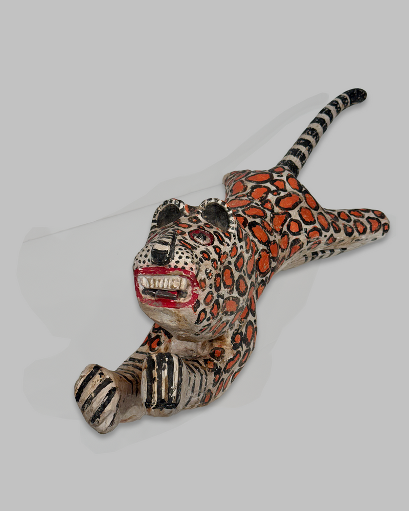 Java Tiger 6