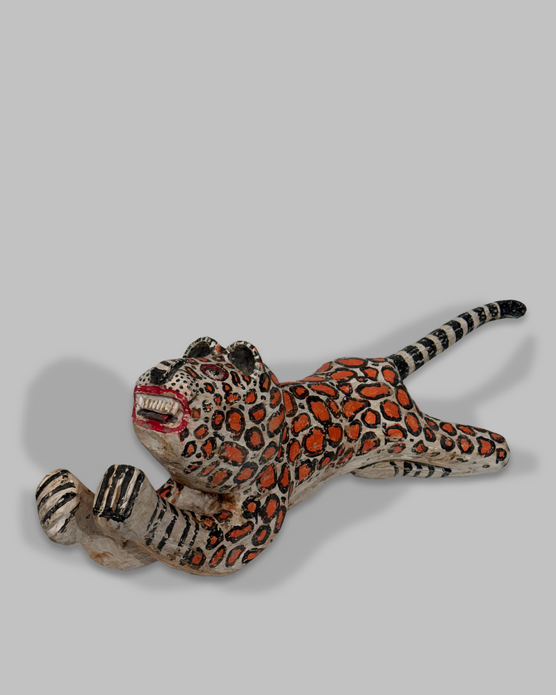 Java Tiger 6
