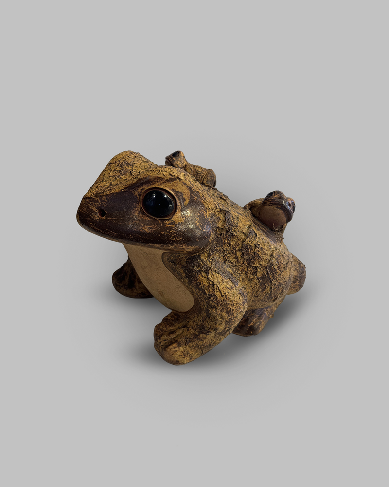 Shigaraki toad