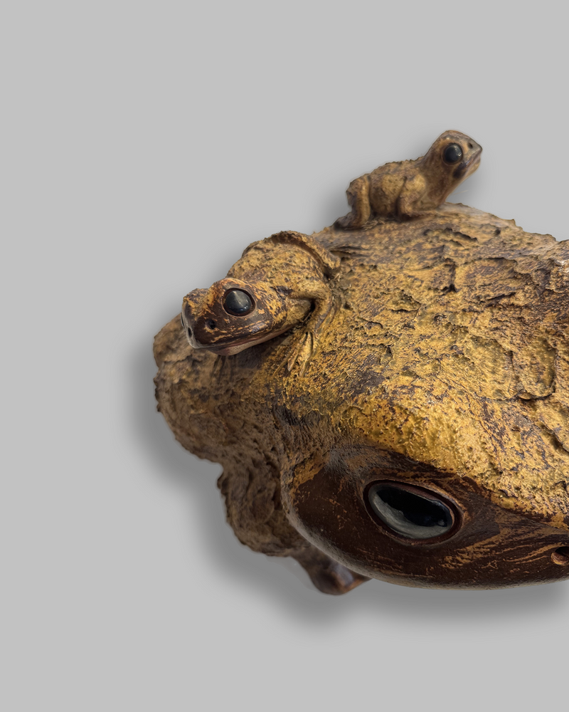 Shigaraki toad