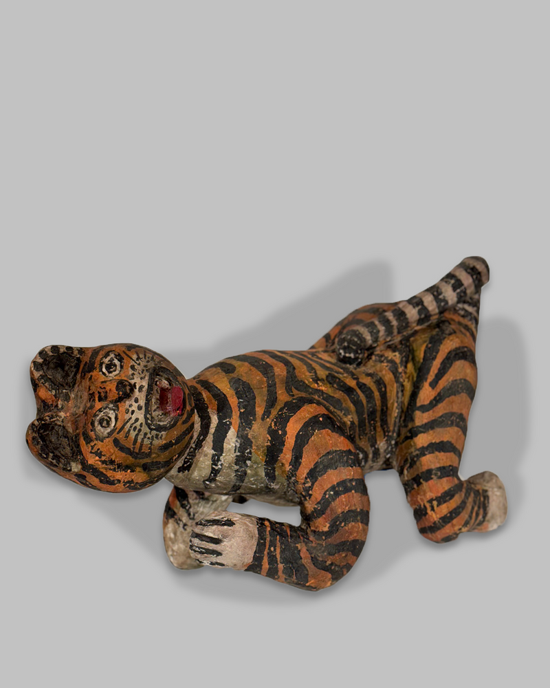 Java Tiger 7