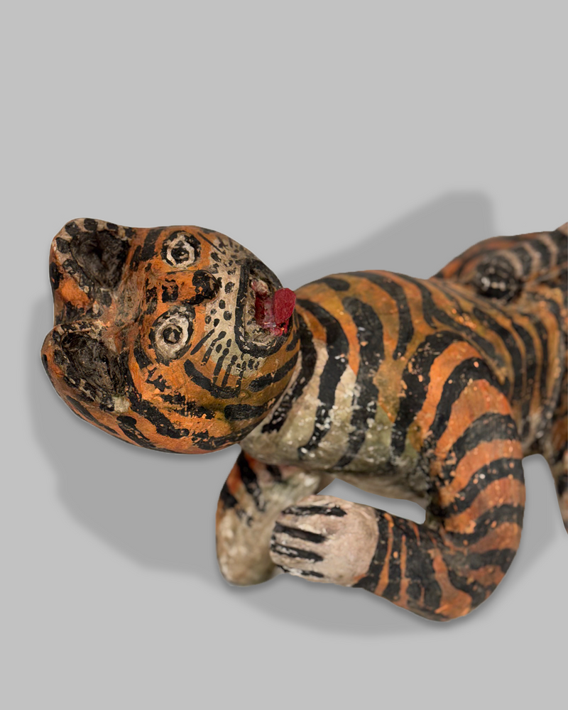 Java Tiger 7