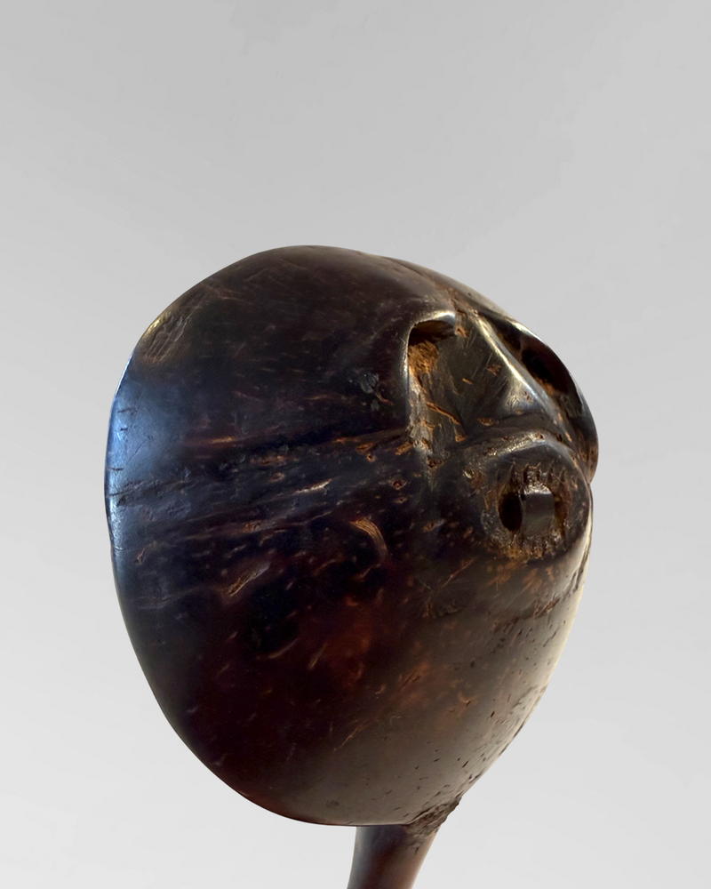Sumba island spoon