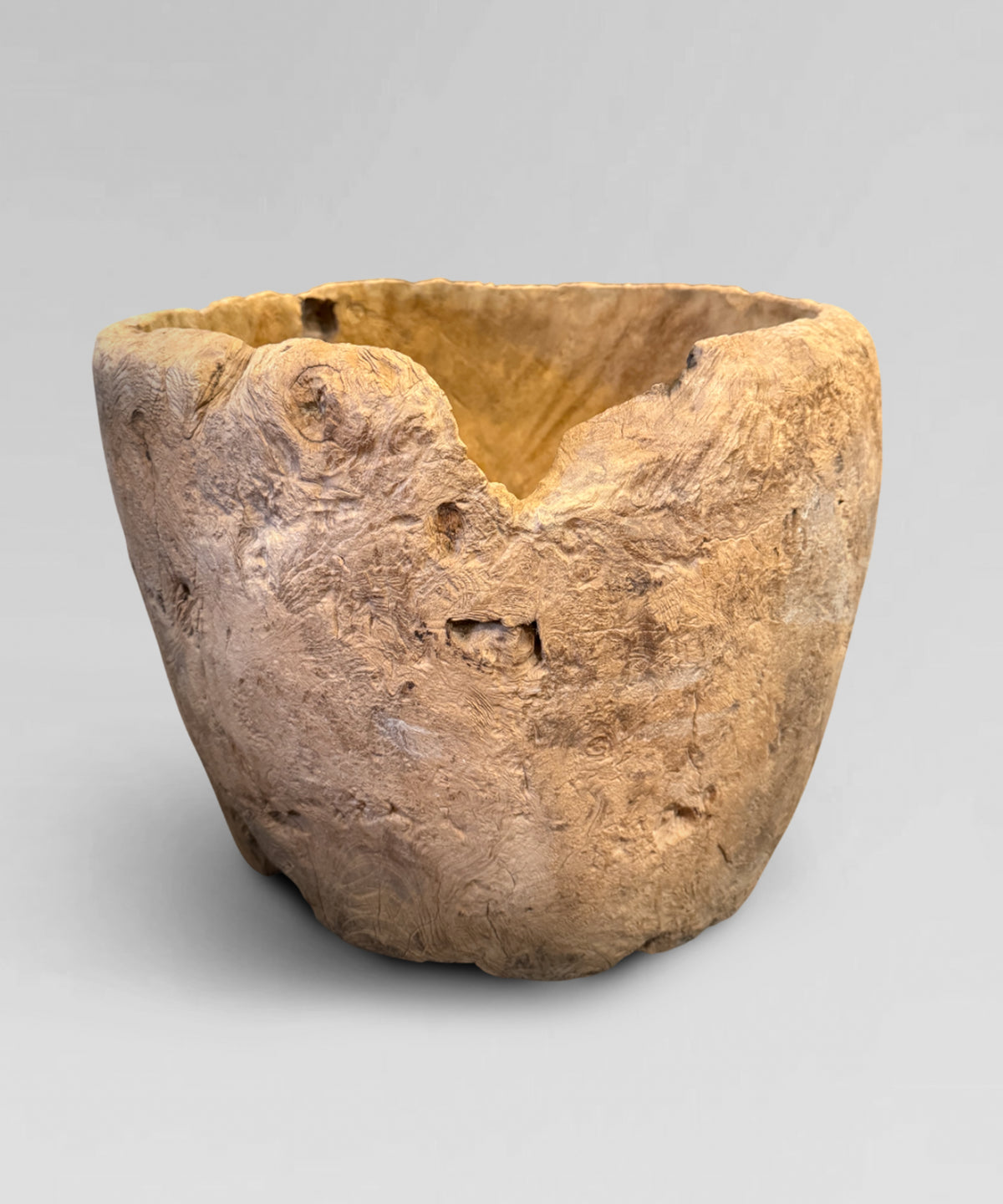 Large teak Burl bowl