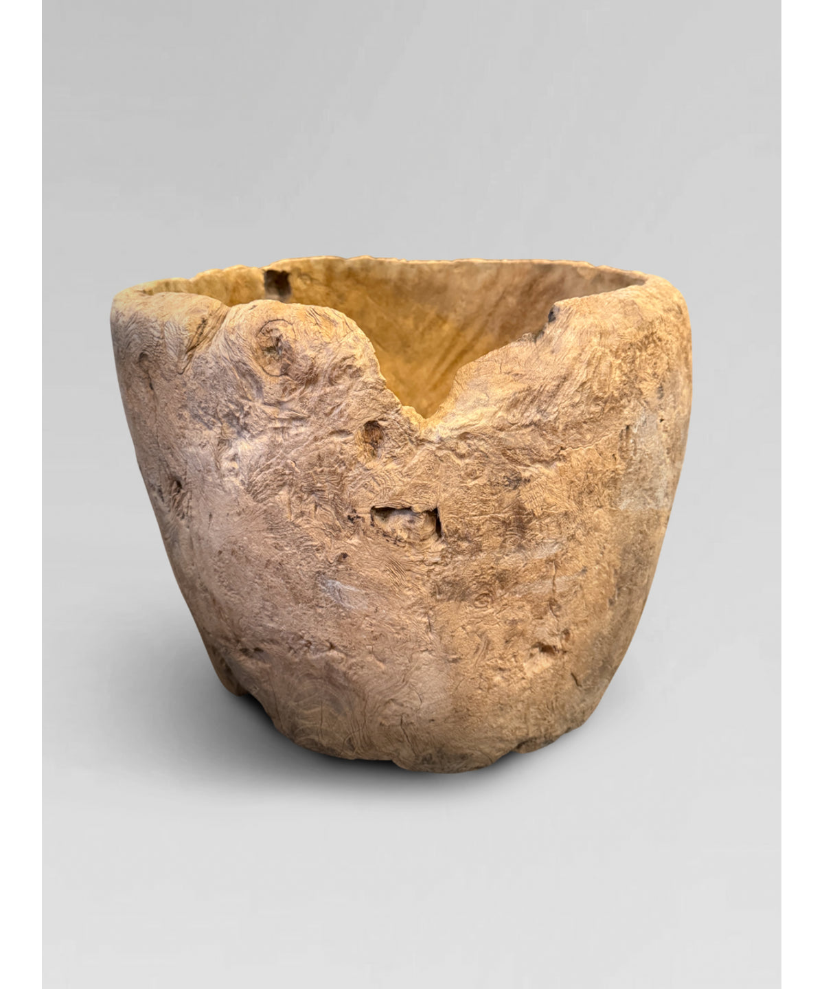 Large teak Burl bowl