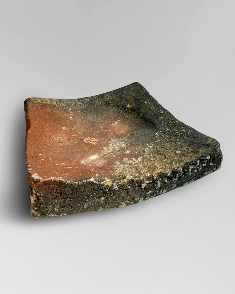 Shigaraki wabi sabi plate 2