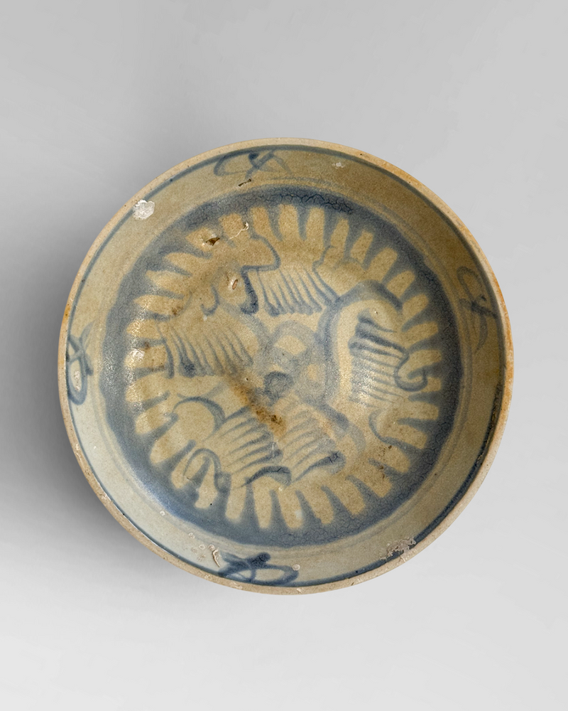 Shipwreck plate 1