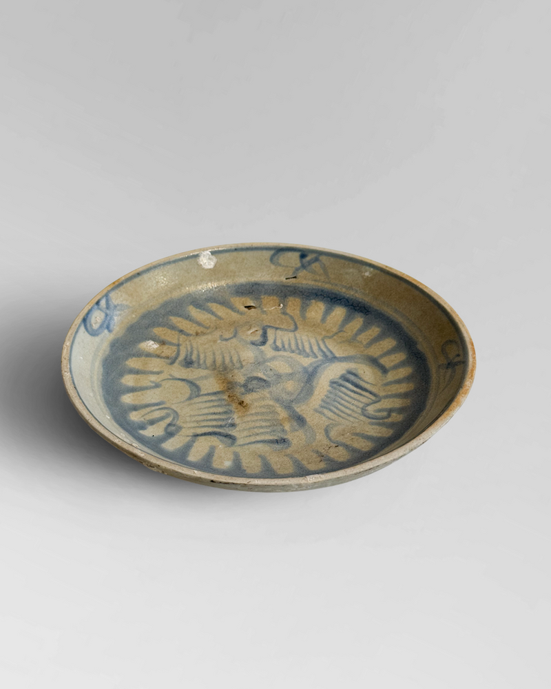 Shipwreck plate 1