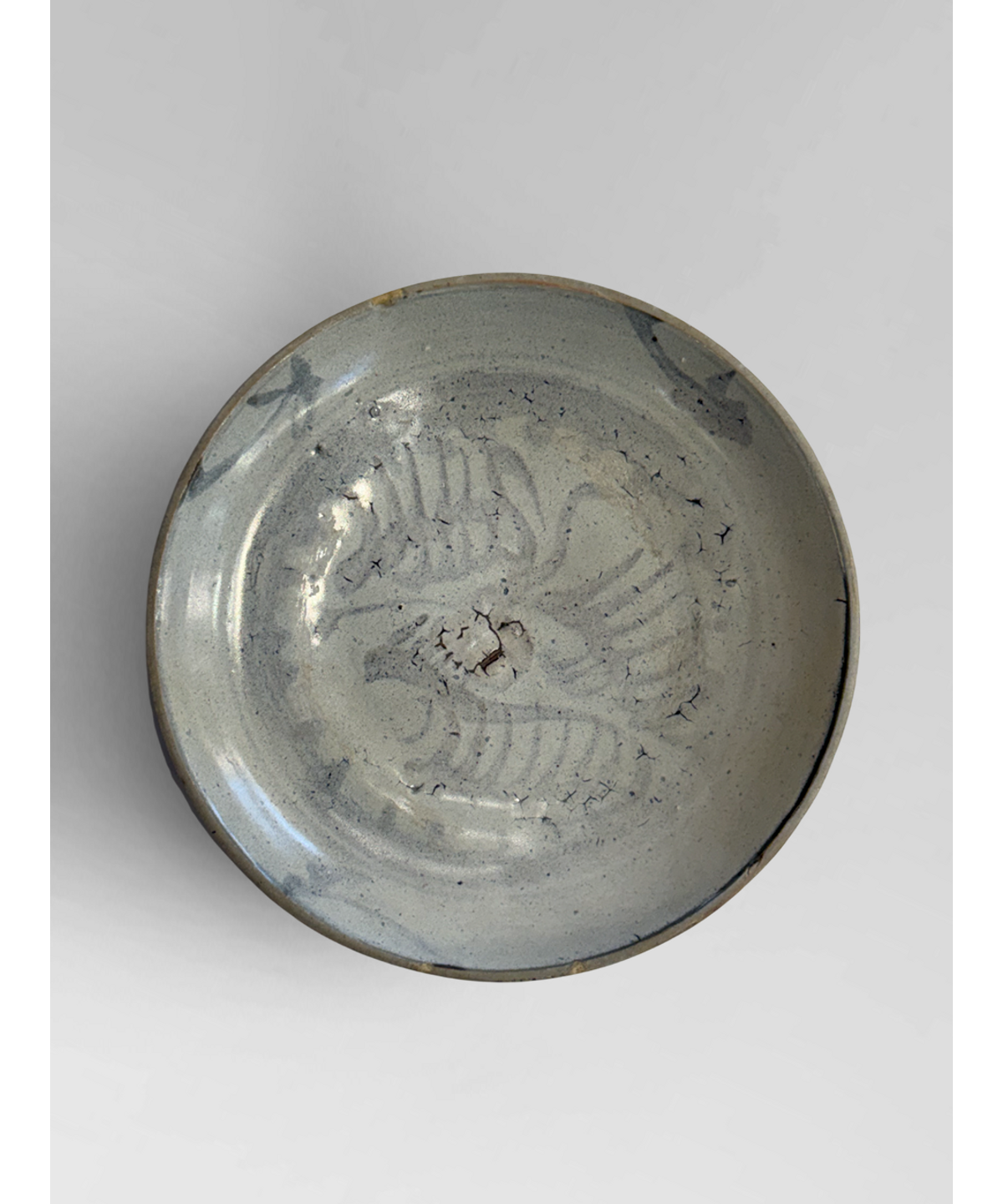 Shipwreck plate 2