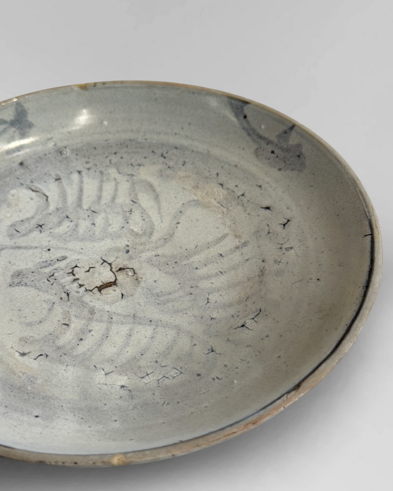 Shipwreck plate 2