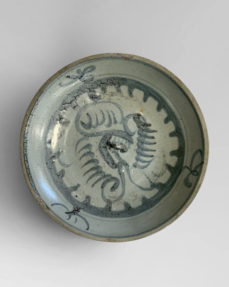 Shipwreck plate 4