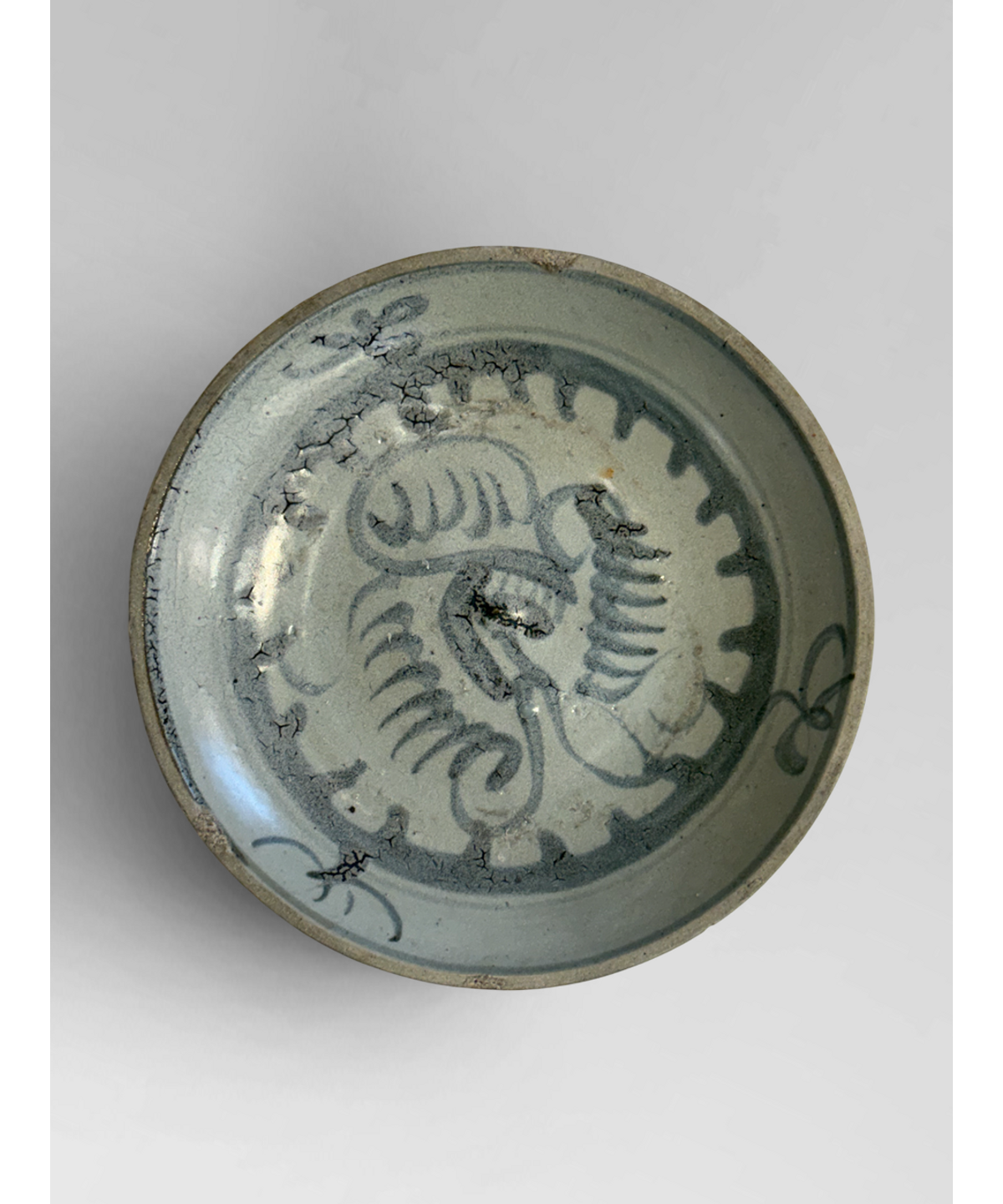 Shipwreck plate 4