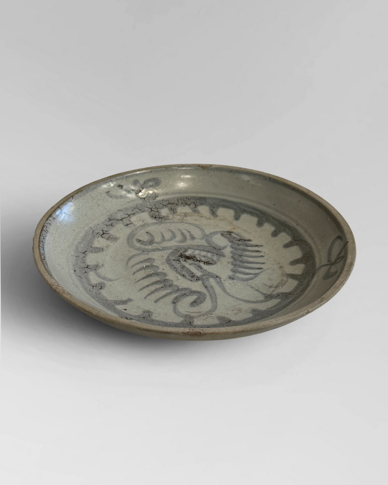Shipwreck plate 4