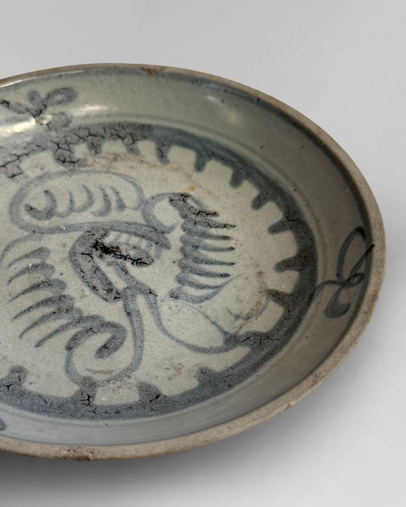 Shipwreck plate 4