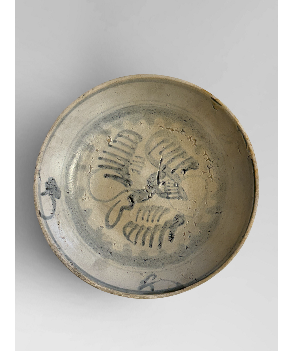 Shipwreck plate 5