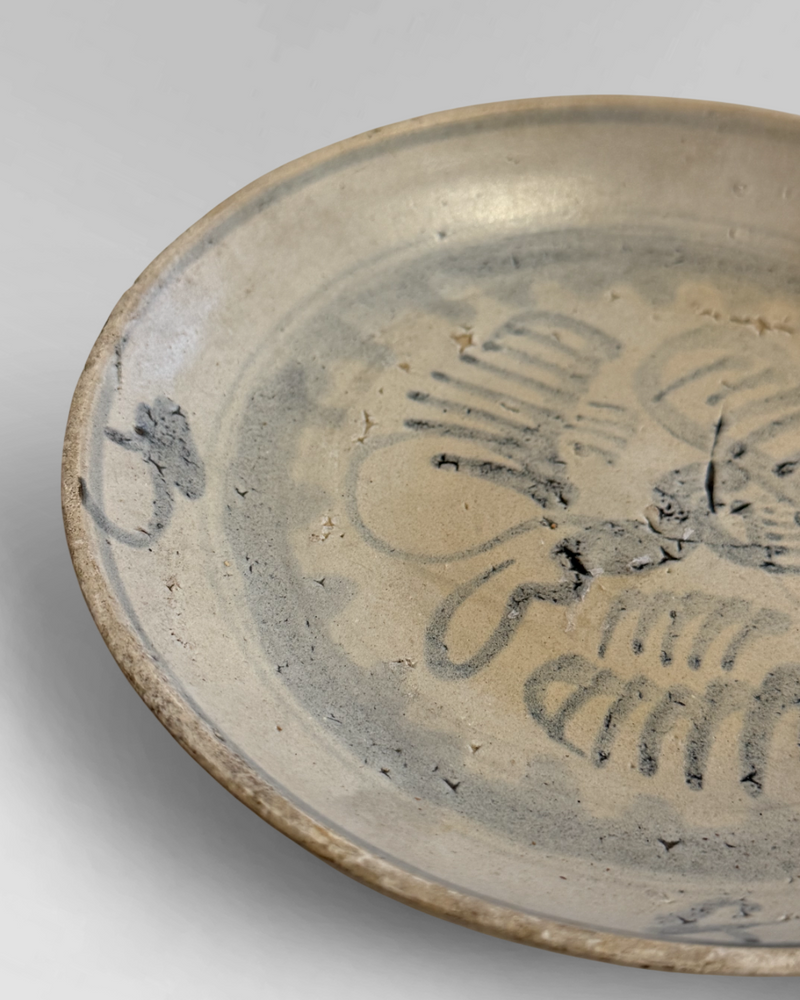 Shipwreck plate 5