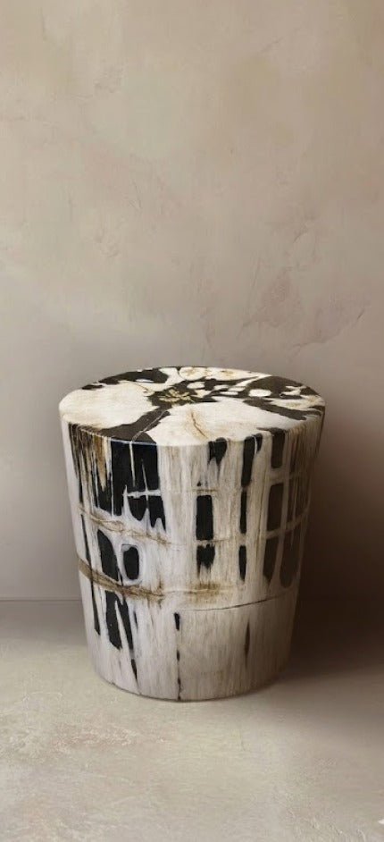 <h2>Petrified Wood</h2>