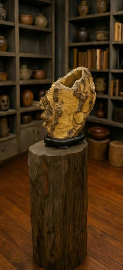 <h1>Step Into Our World</h1>