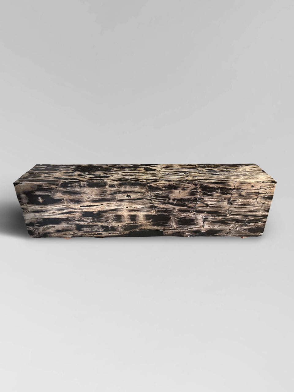 Petrified Wood Bench