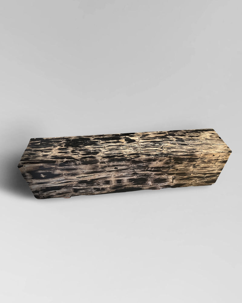 Petrified Wood Bench