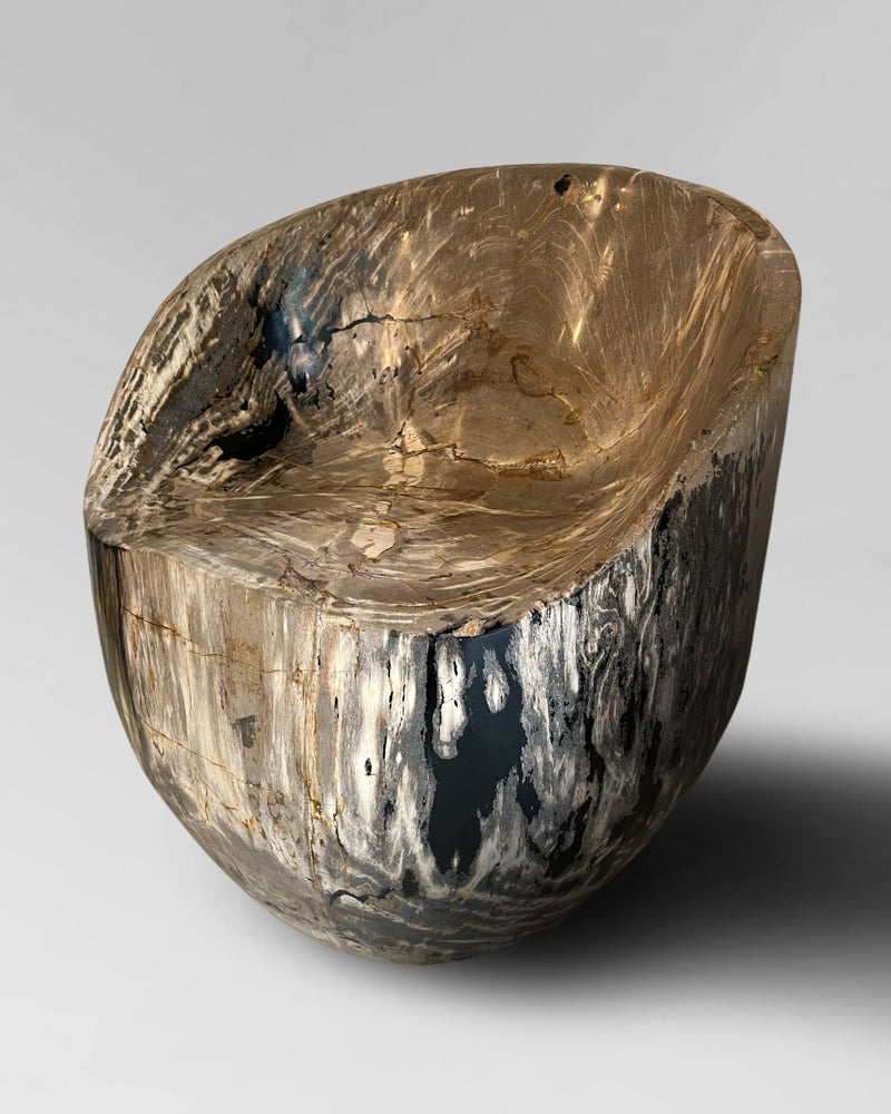 Petrified Wood Chair