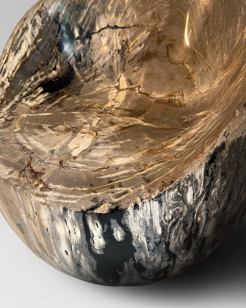 Petrified Wood Chair