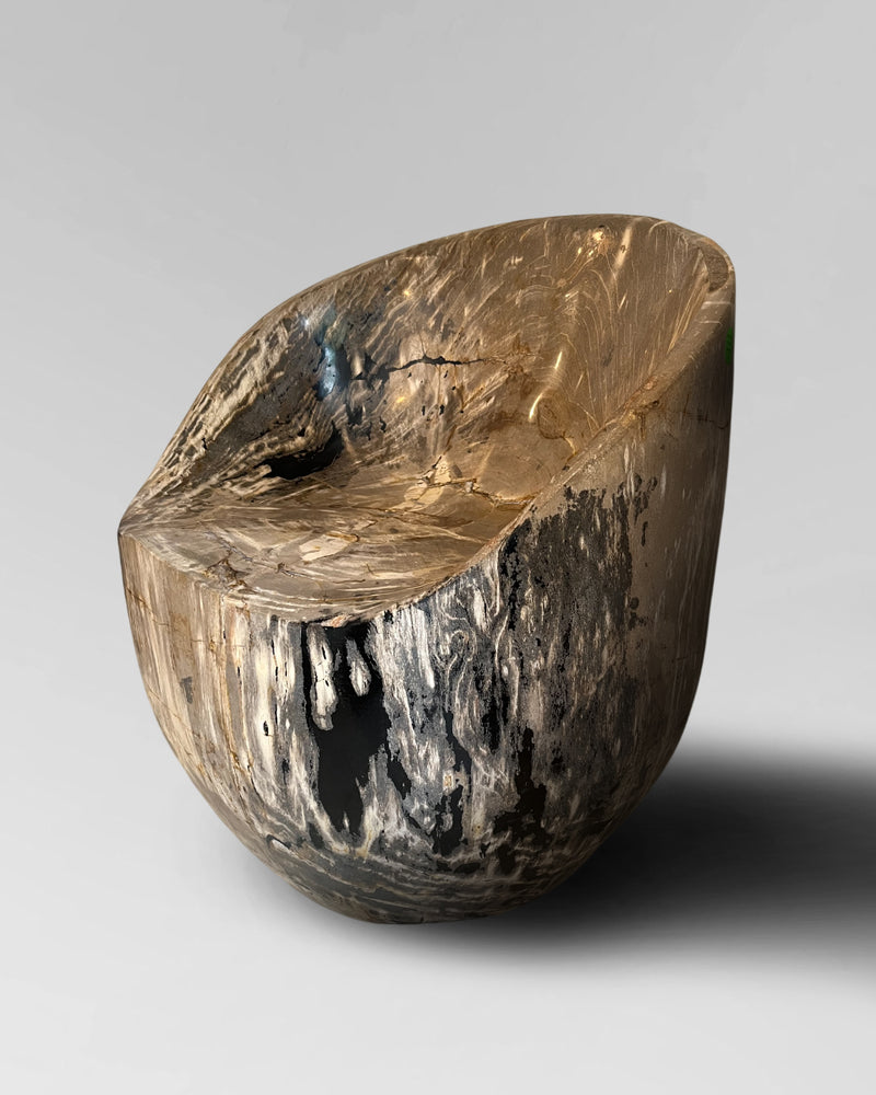 Petrified Wood Chair