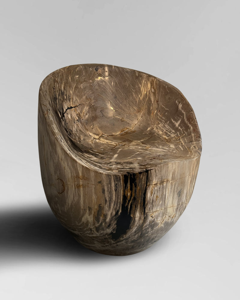 Petrified Wood Chair