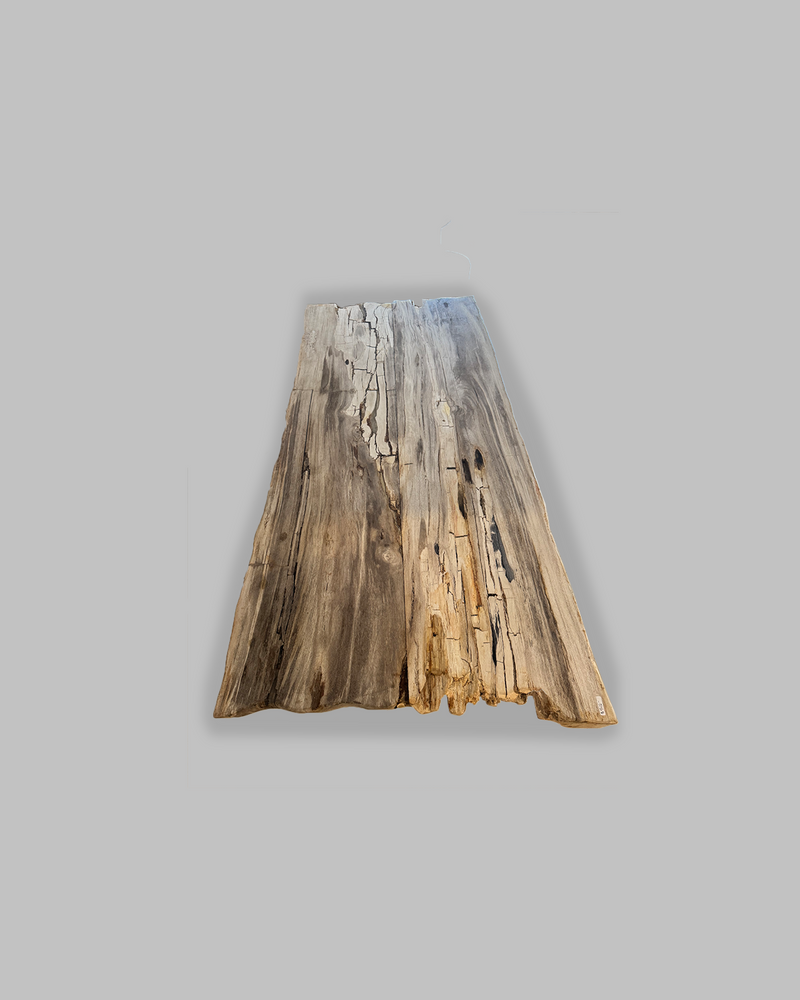 Petrified Dining Table 1
