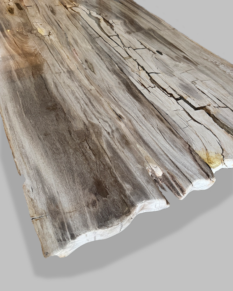 Petrified Dining Table 1