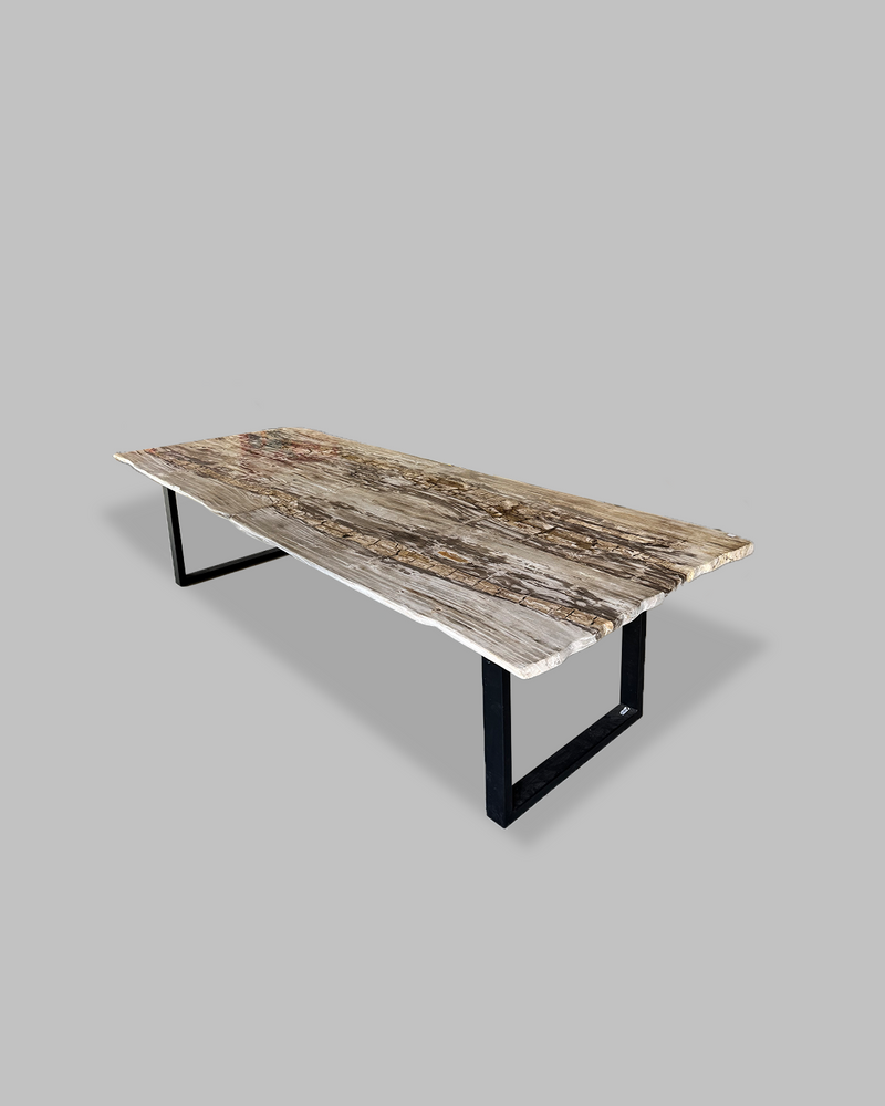 Petrified Dining Table 2