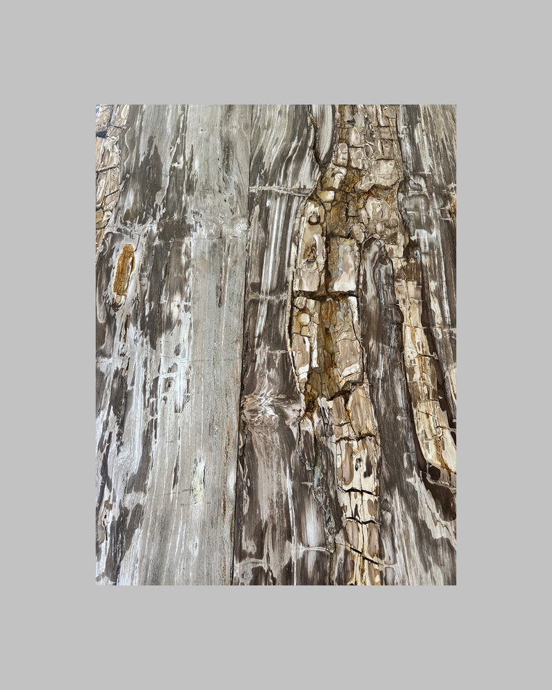 Petrified Dining Table 2