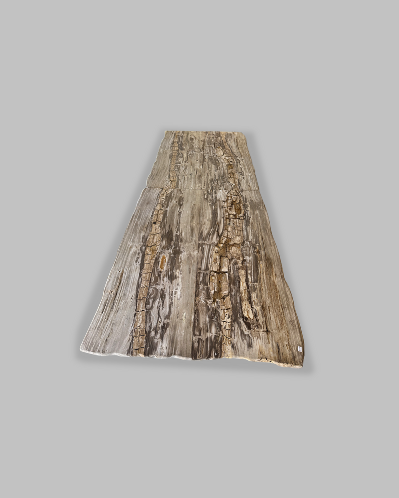 Petrified Dining Table 2