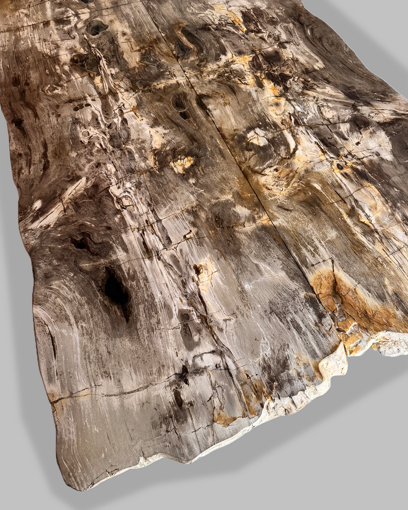 Petrified Dining Table 3