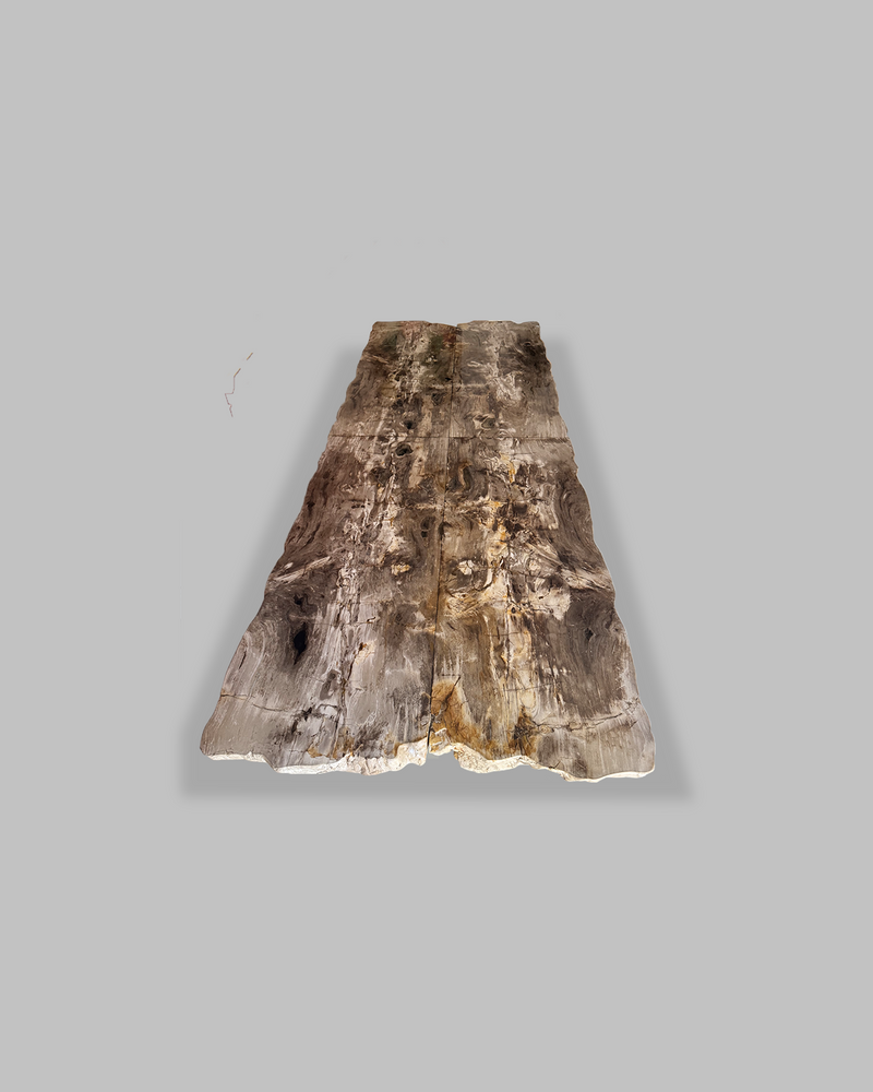 Petrified Dining Table 3