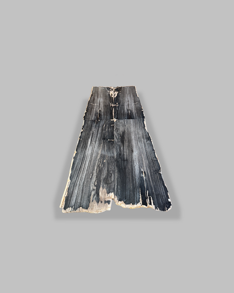Petrified Dining Table 4