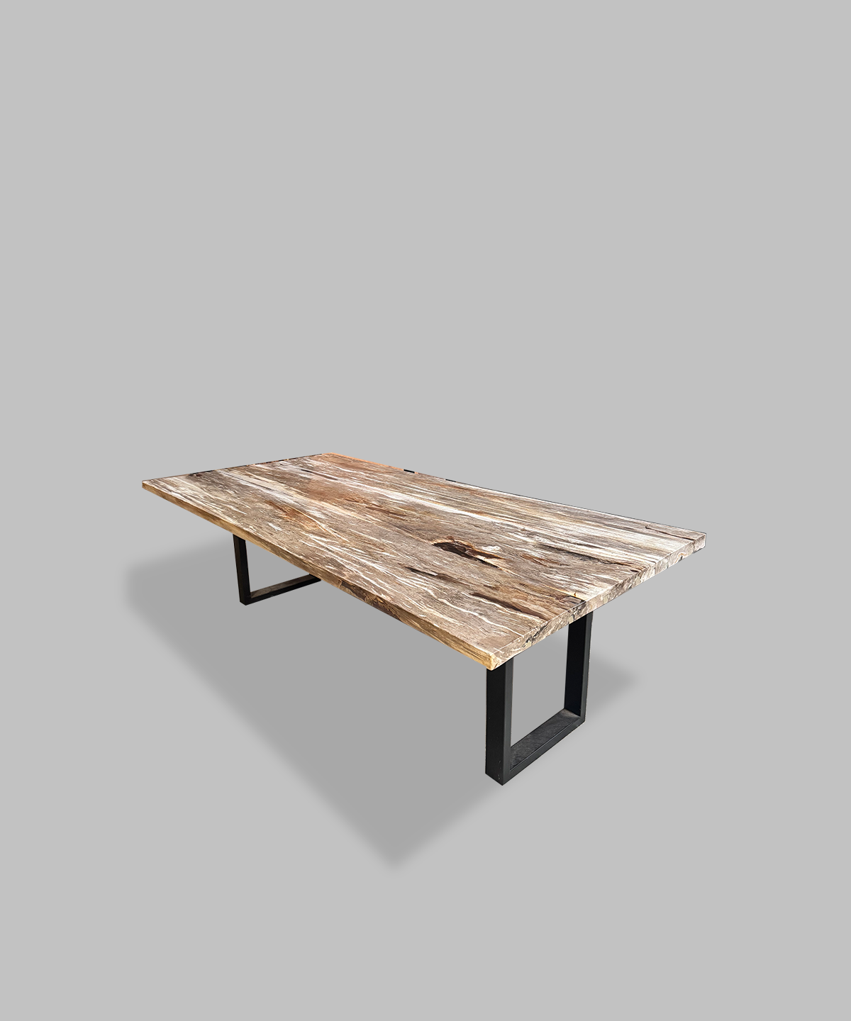 Petrified Dining Table 5