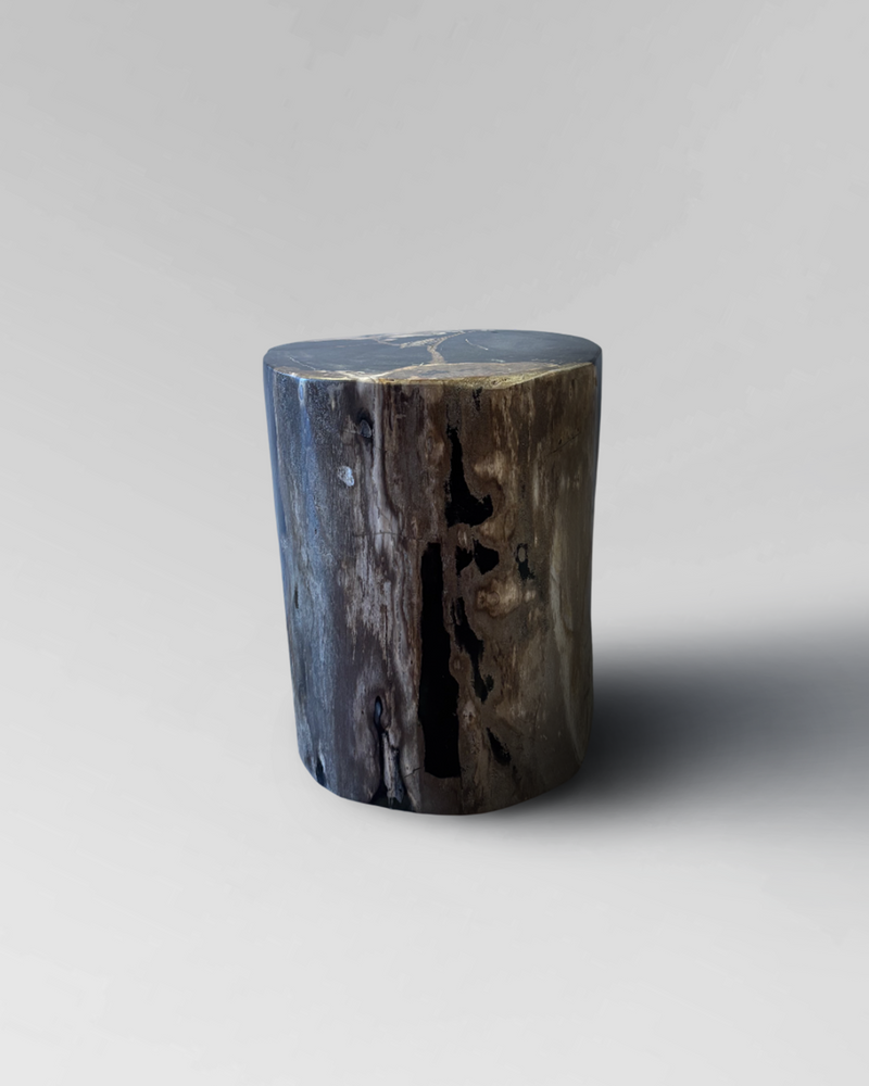 Petrified Stump 22