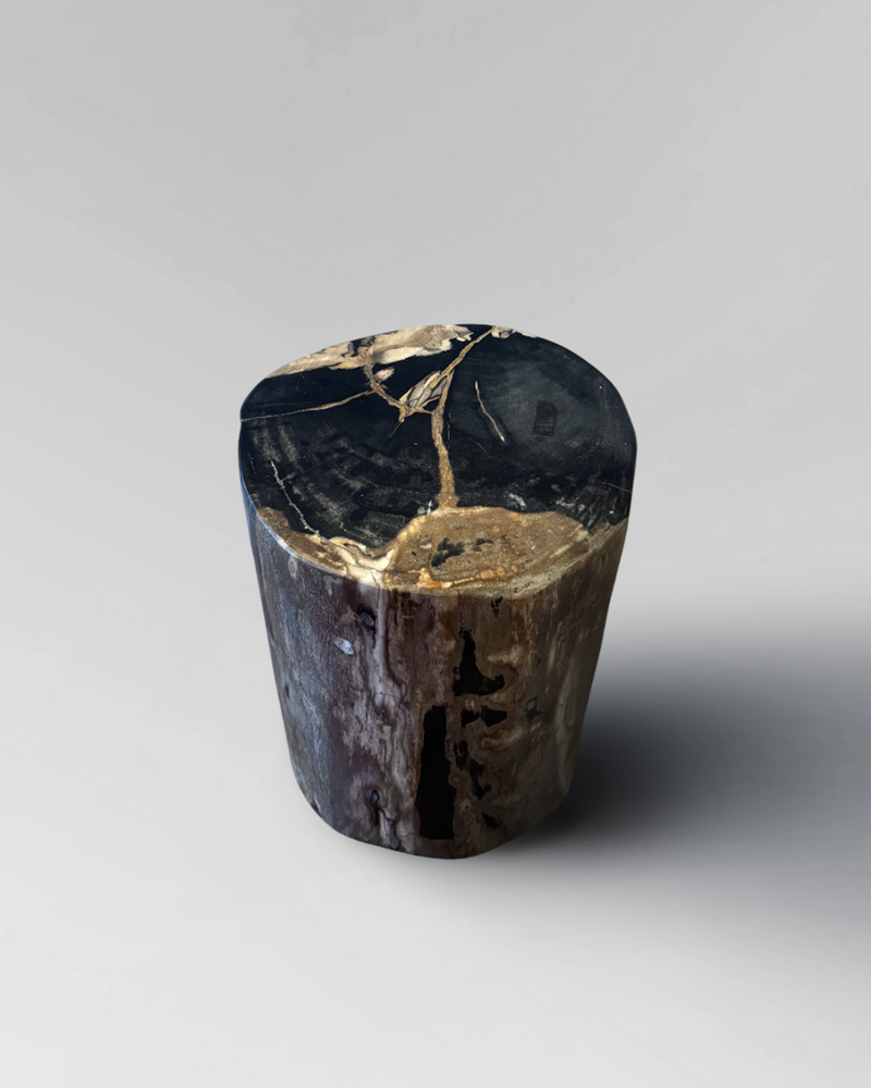 Petrified Stump 22