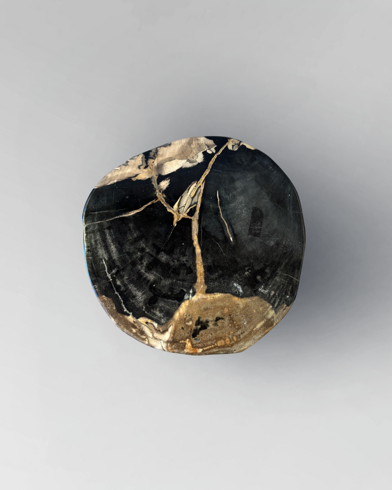 Petrified Stump 22