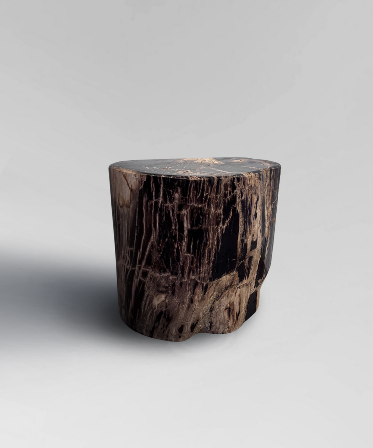Petrified Stump 24