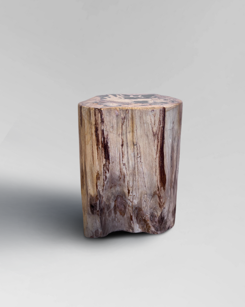 Petrified Stump 25