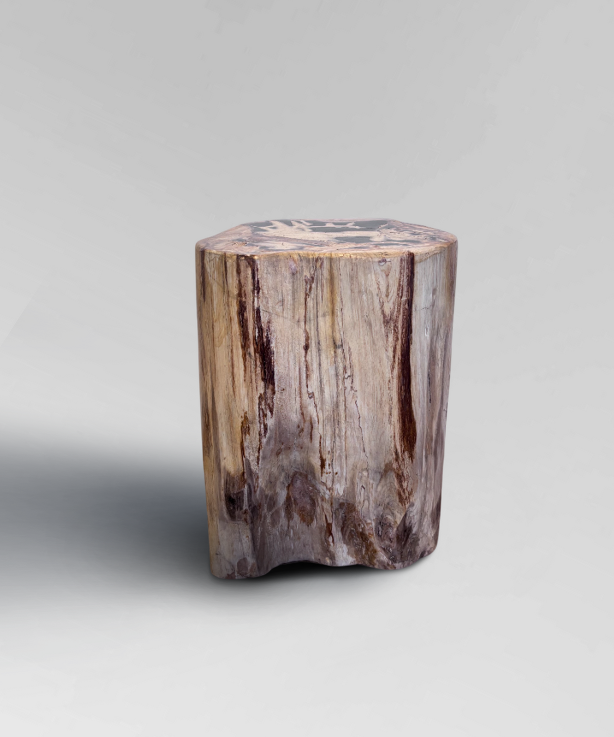 Petrified Stump 25