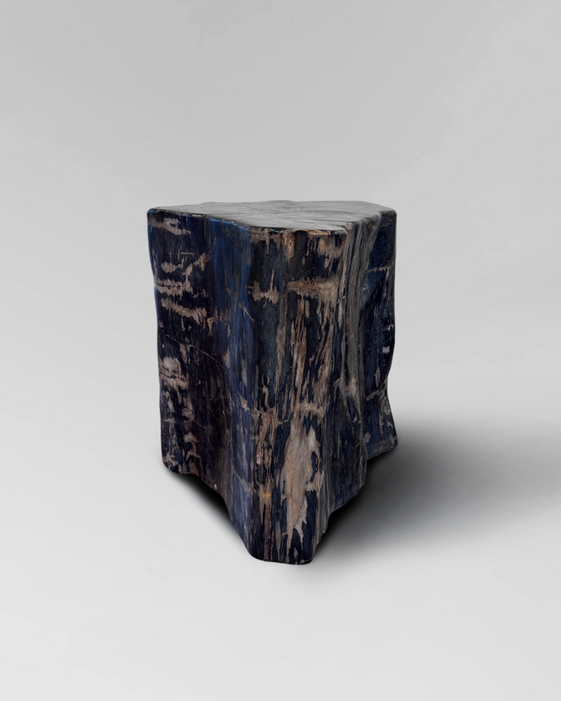 Petrified Stump 29