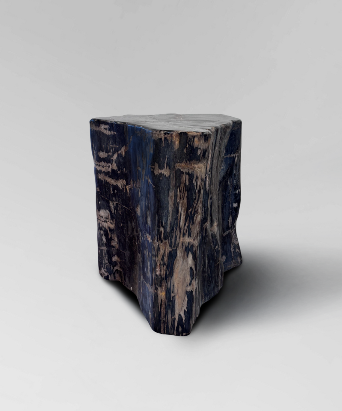 Petrified Stump 29