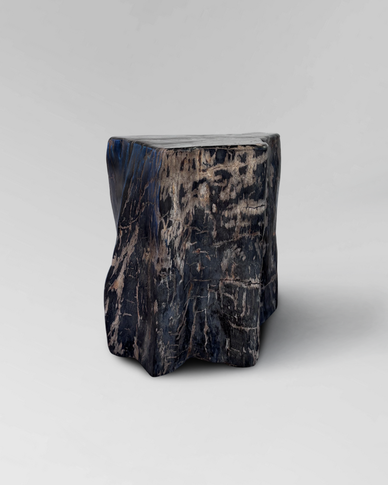 Petrified Stump 29